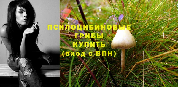 не бодяженный Абаза