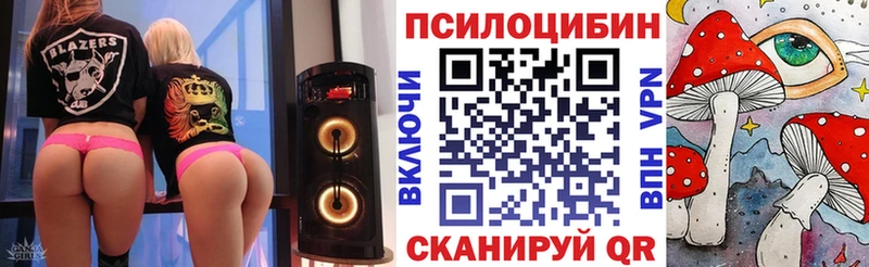 где купить наркоту  Тулун  Псилоцибиновые грибы ЛСД 