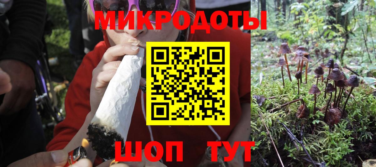 Галлюциногенные грибы Psilocybine cubensis Тулун