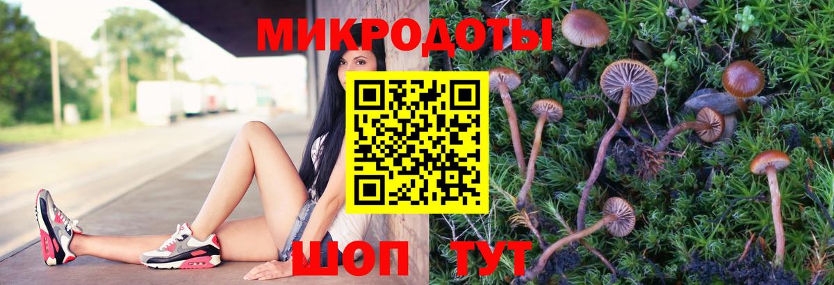 Псилоцибиновые грибы мухоморы  Вход с VPN  Тулун 